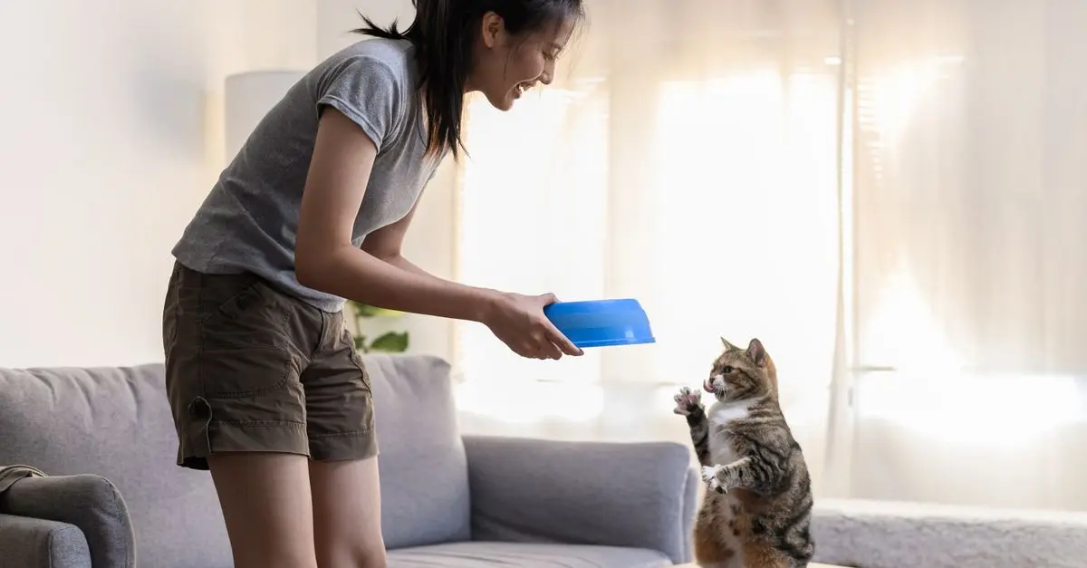 How to Create a Balanced Diet for Your Pet