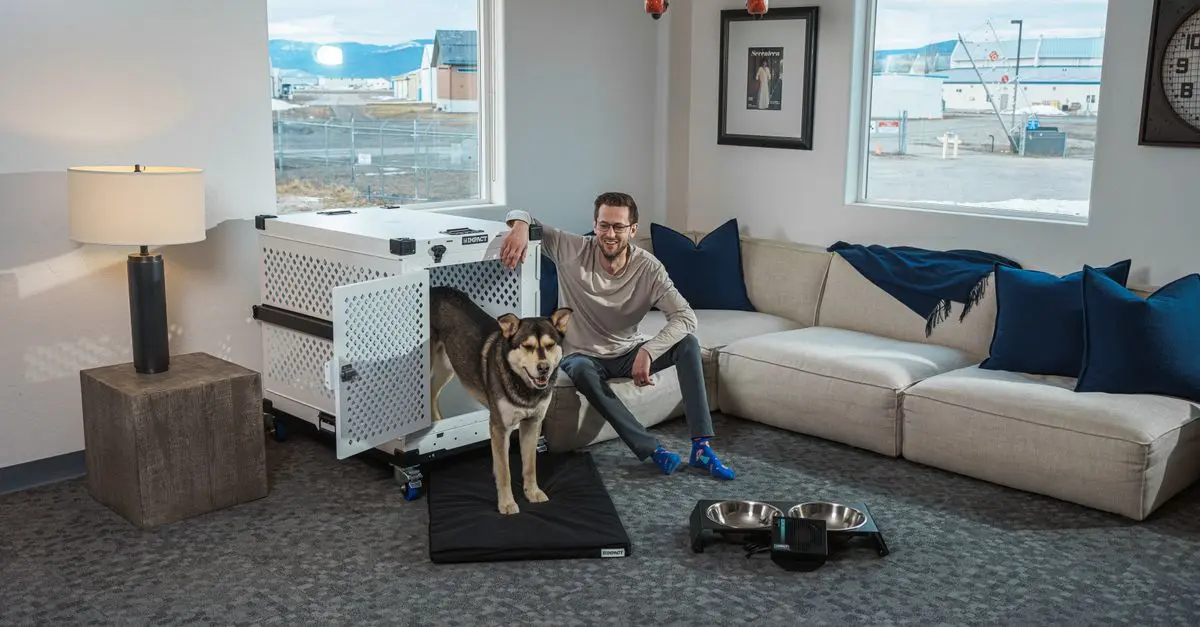 How to Create the Perfect Home Environment for Your Pet