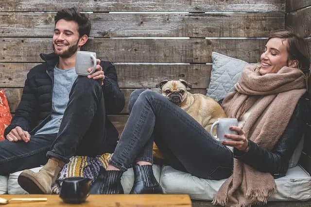 Understanding Animal Emotions: How Pets Feel and React