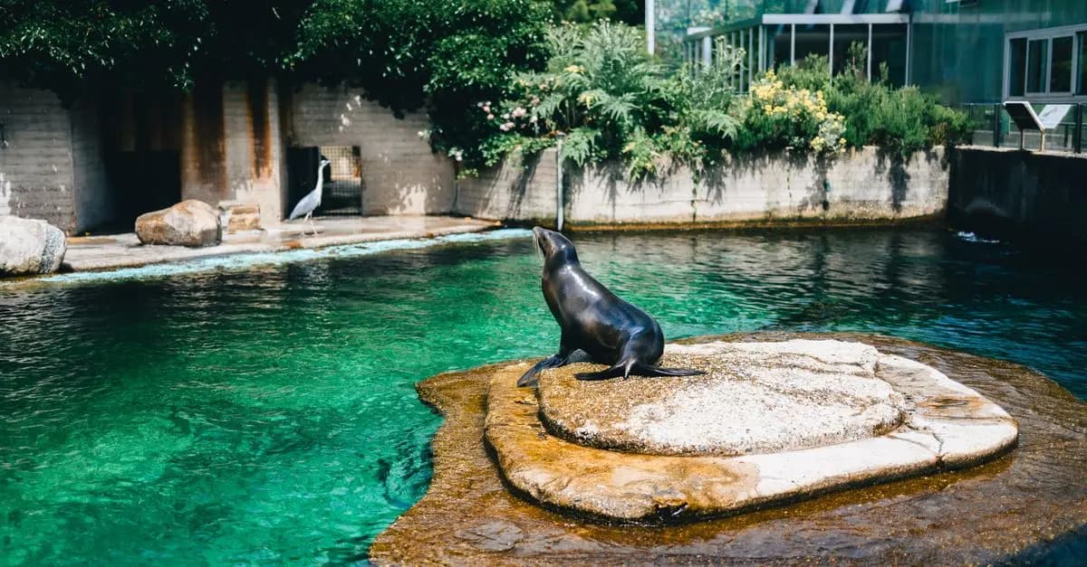 Understanding the Needs of Different Animal Species