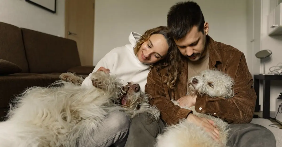 How to Enrich Your Pet’s Life with Engaging Activities