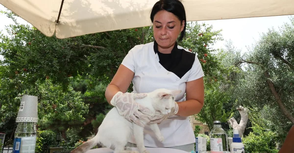 Understanding Your Pet's Behavioral Changes and Their Causes