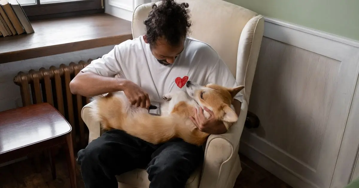 How to Create a Safe and Engaging Environment for Your Pet