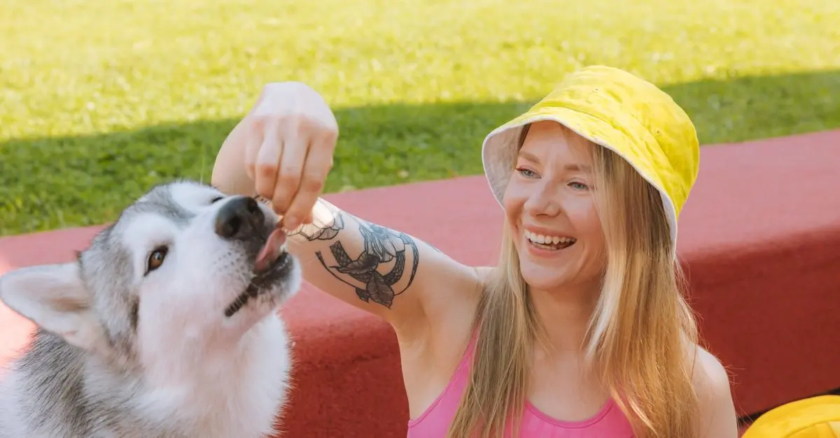 10 Essential Tips for Training Your Dog Effectively