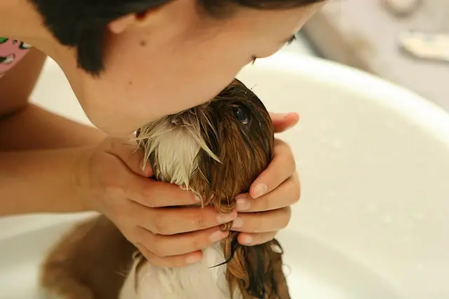 10 Essential Tips for Enhancing Your Pet's Life