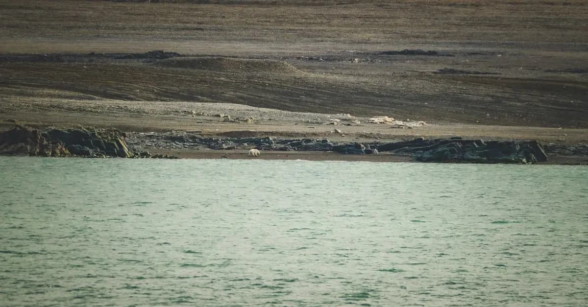 The Impact of Climate Change on Arctic Wildlife