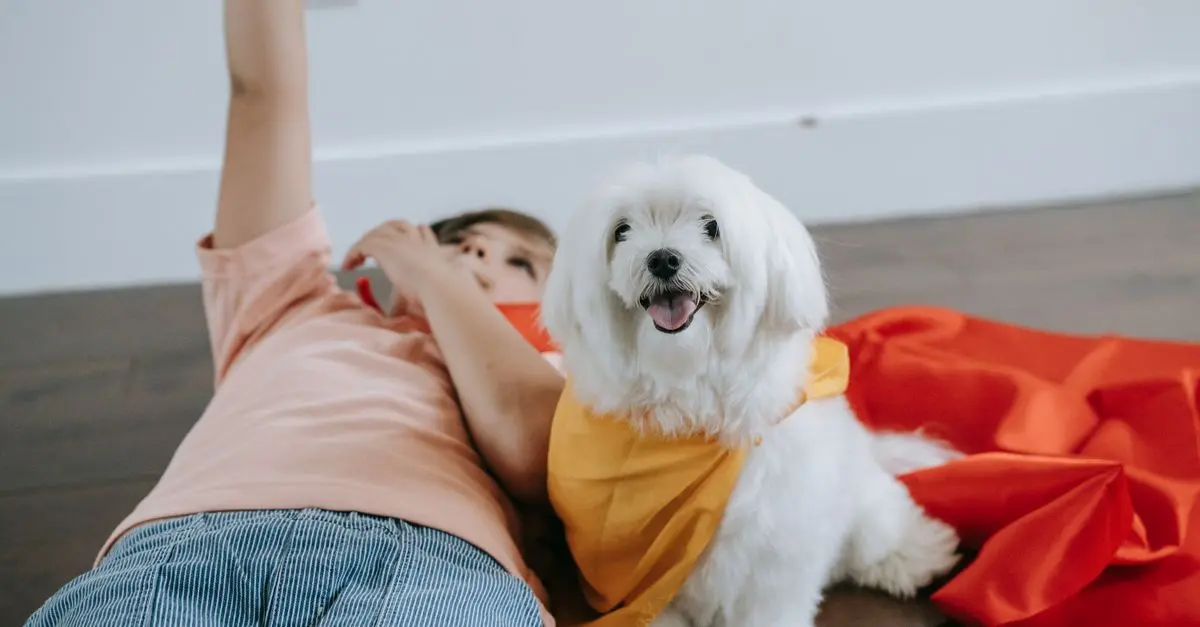 10 Essential Tips for Adopting a Rescue Pet Successfully