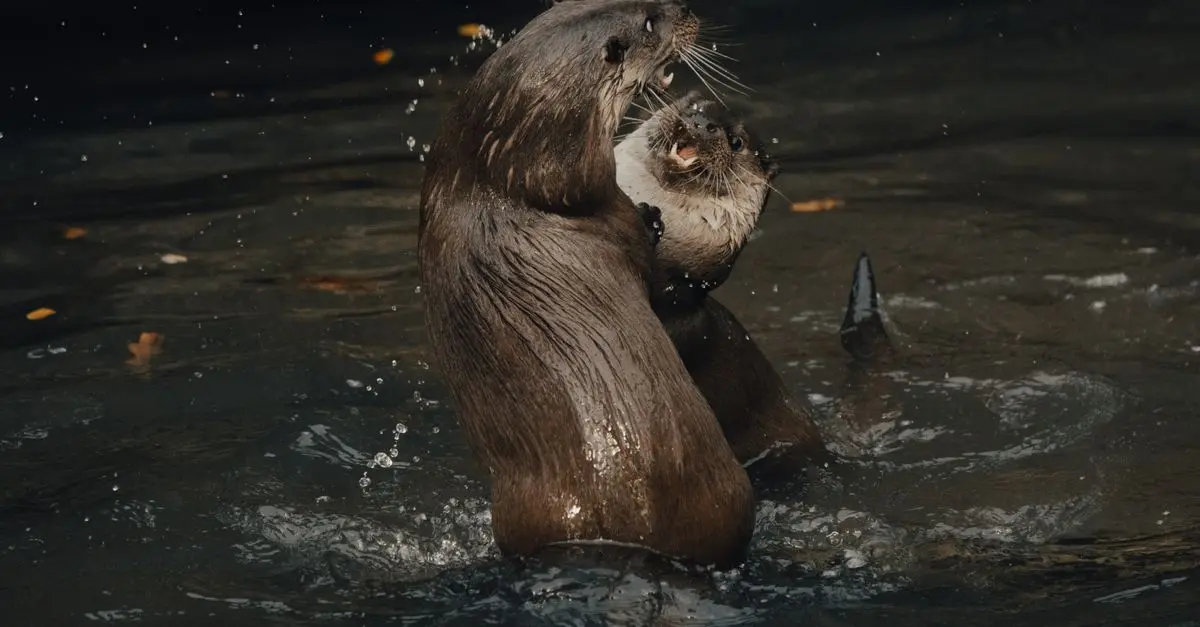 Animal Communication: How Do Animals Speak?