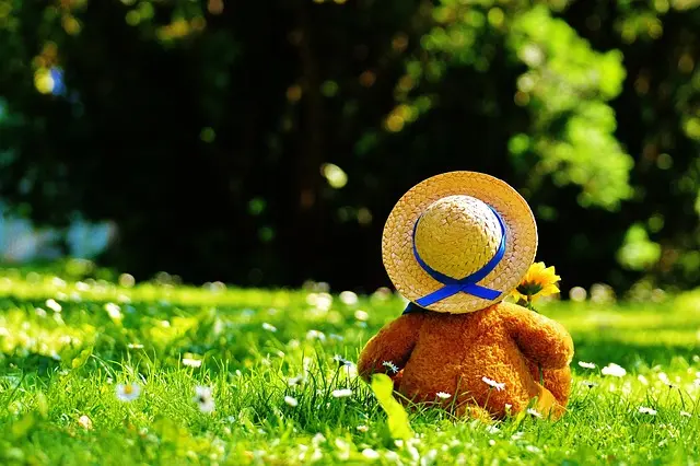 How to Create a Safe and Enriching Environment for Your Pet