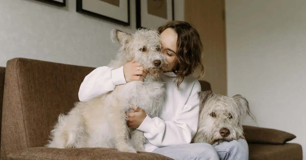 Understanding Pet Behavior: Common Signs and Solutions