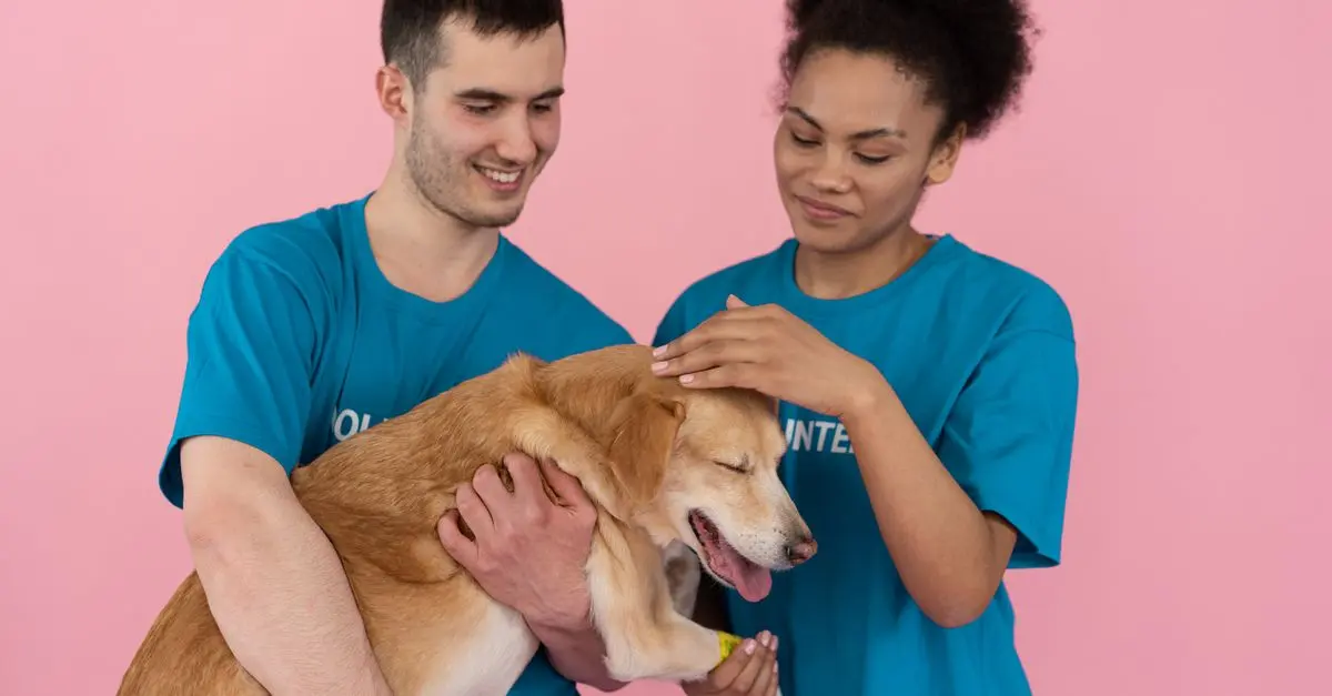 10 Tips for Creating the Perfect Home for Your Pet