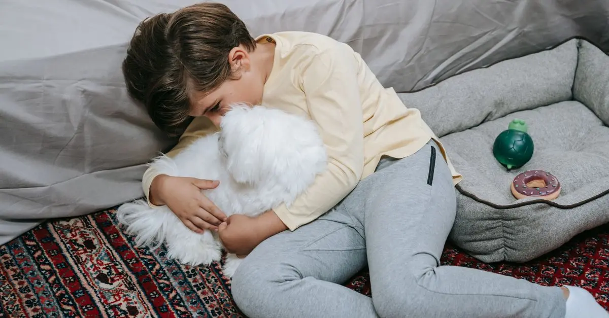 How to Create a Safe and Loving Home for Your Pets