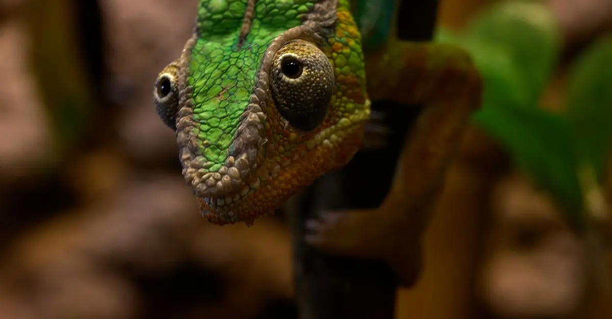 Understanding the Benefits of Adopting Exotic Pets