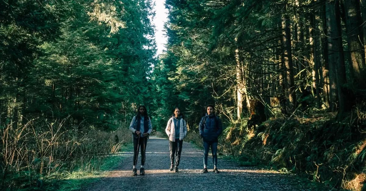A Beginner's Guide to Wildlife Tracking
