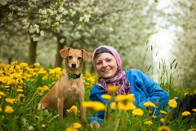 How to Choose the Right Enrichment Activities for Your Pet