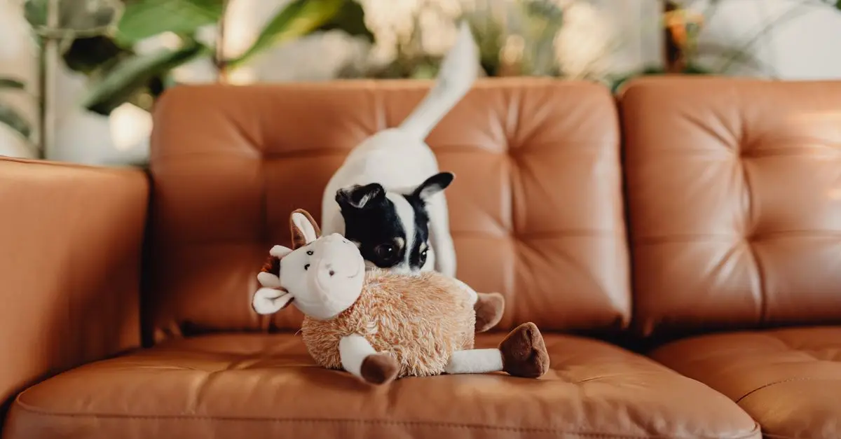 How to Create the Perfect Enrichment Activities for Pets