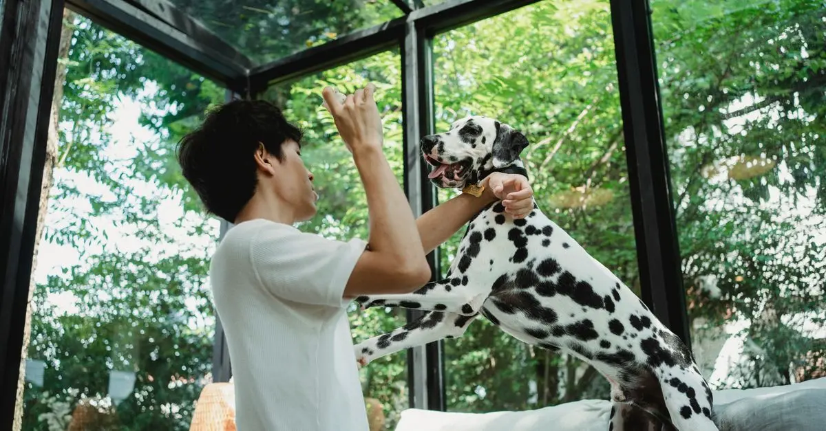 10 Fun Activities to Keep Your Pet Engaged at Home