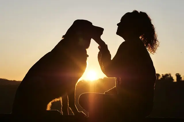 Top 10 Most Popular Dog Breeds and Their Traits