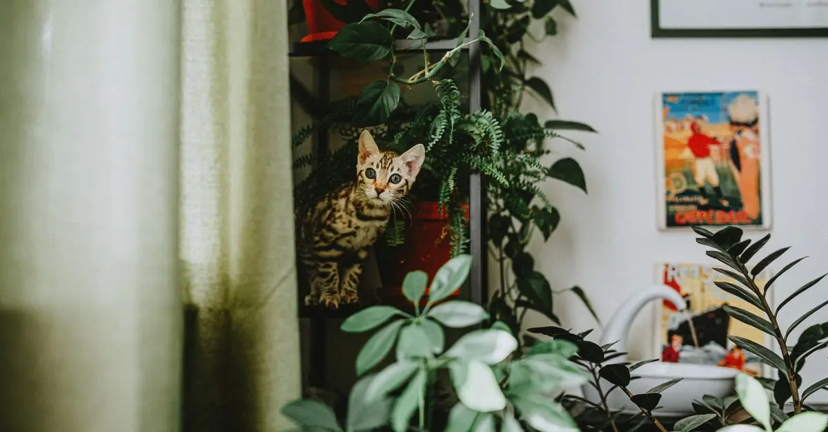 How to Create a Natural Habitat for Your Pet