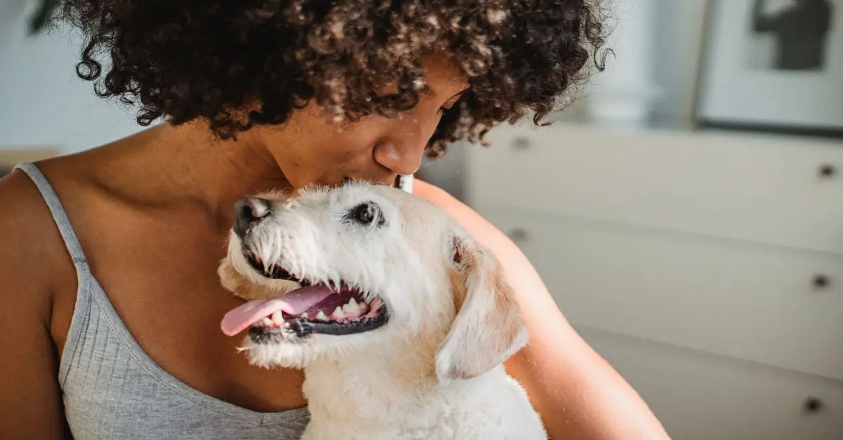 10 Essential Tips for Caring for Your Rescue Pet