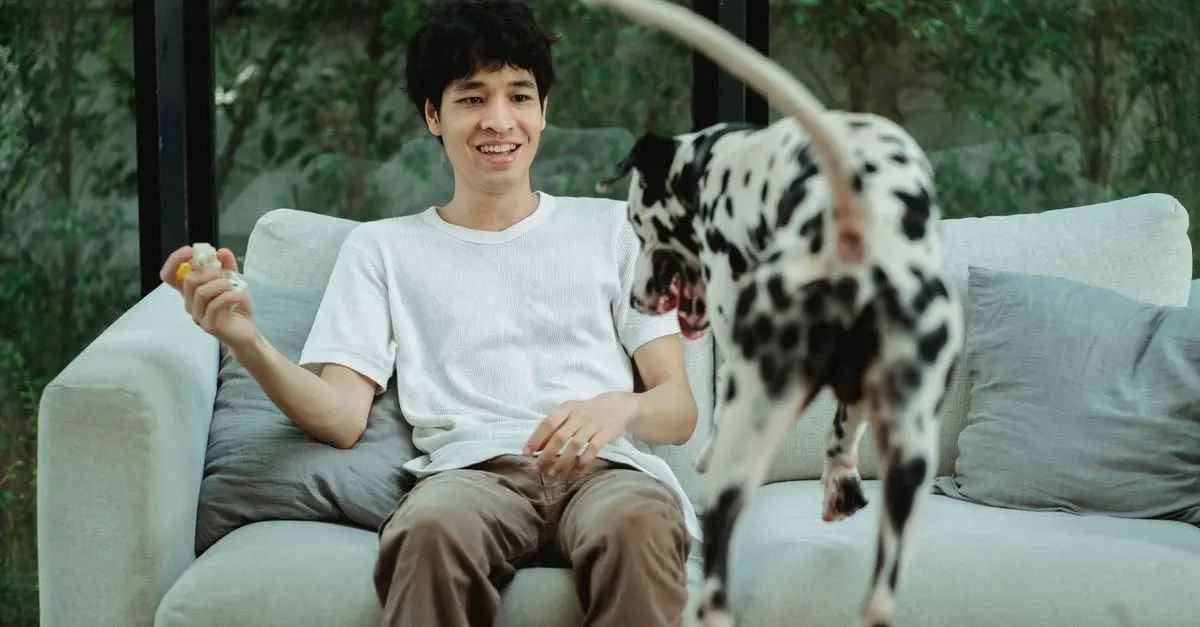 10 Essential Tips for Keeping Your Pet Engaged and Happy