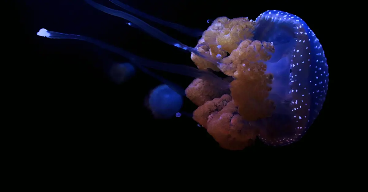 Exploring the Fascinating World of Bioluminescent Animals