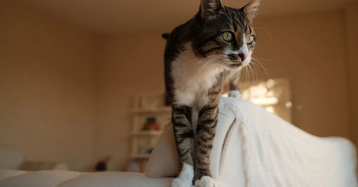 10 Essential Tips for Creating a Safe Home for Your Pets