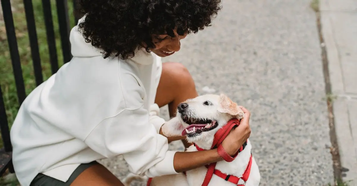 Understanding Animal Behaviors: Key Factors Explained