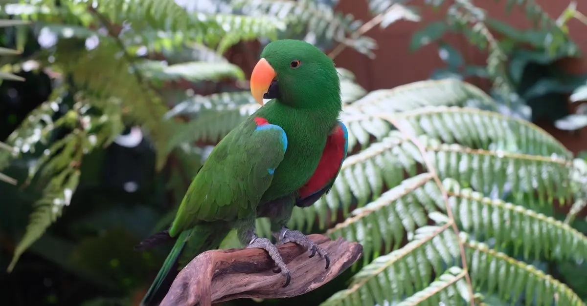 10 Essential Tips for Keeping Your Exotic Pet Happy