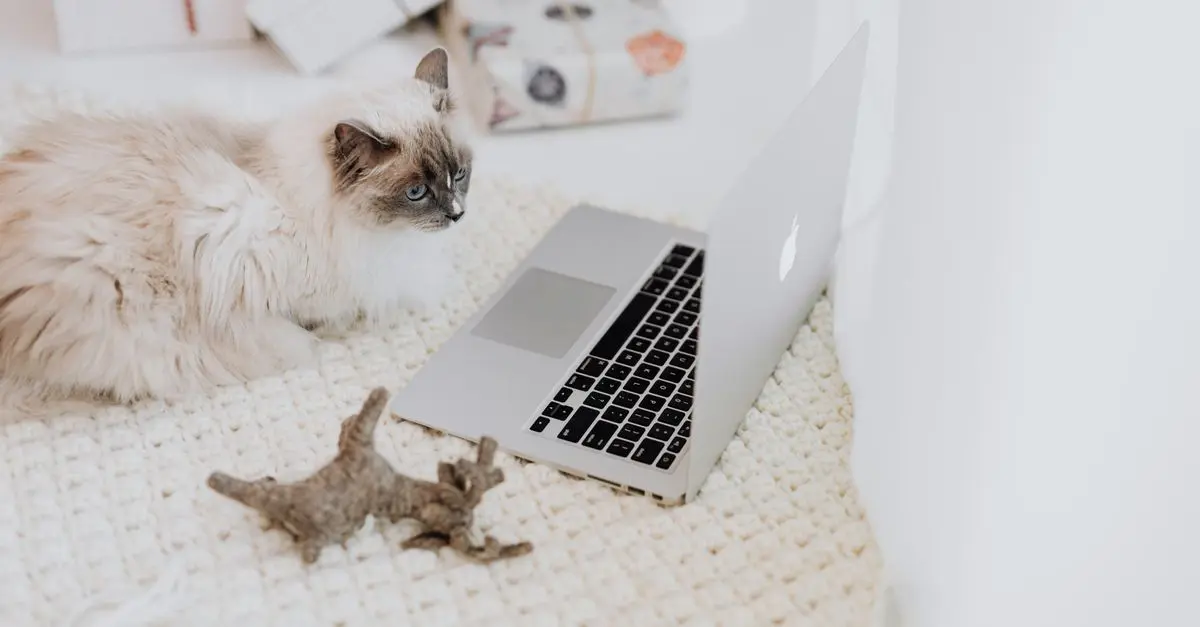 2026 Pet Care Trends: Innovations Changing the Industry