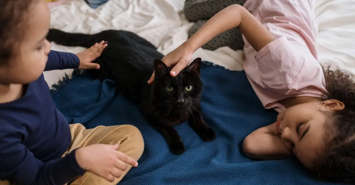 10 Tips for Creating a Safe Habitat for Your Pet