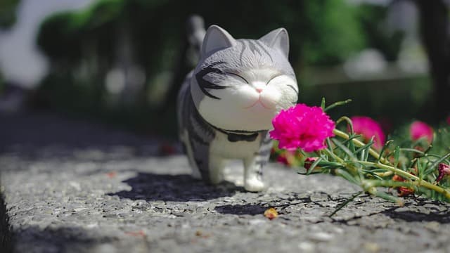 How to Create a Safe and Engaging Environment for Your Pet