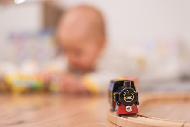 How to Choose the Right Toys for Your Pets' Mental Stimulation