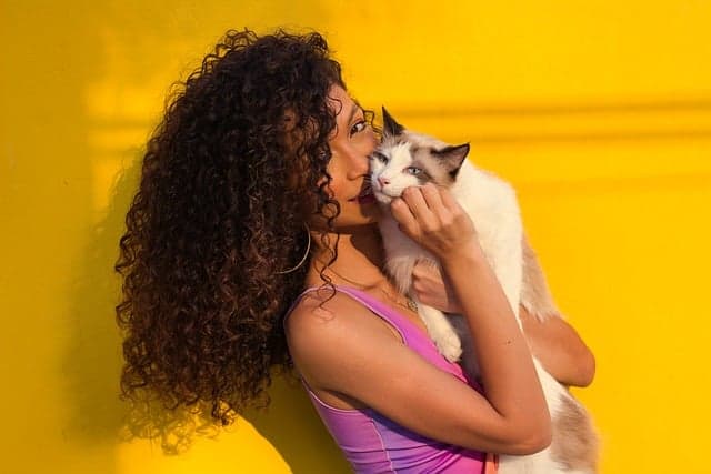 Understanding the Emotional Needs of Your Pets
